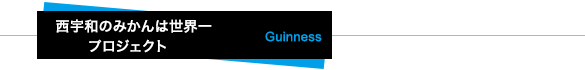 西宇和のみかんは世界一プロジェクト